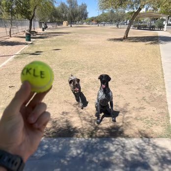 Bark Park at Nozomi Park photo 1